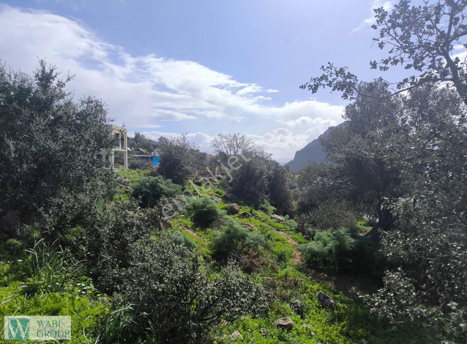 Bodrum-dağbelen 1.400m2 Tarla Yatırımlık Fırsat - Görsel 10