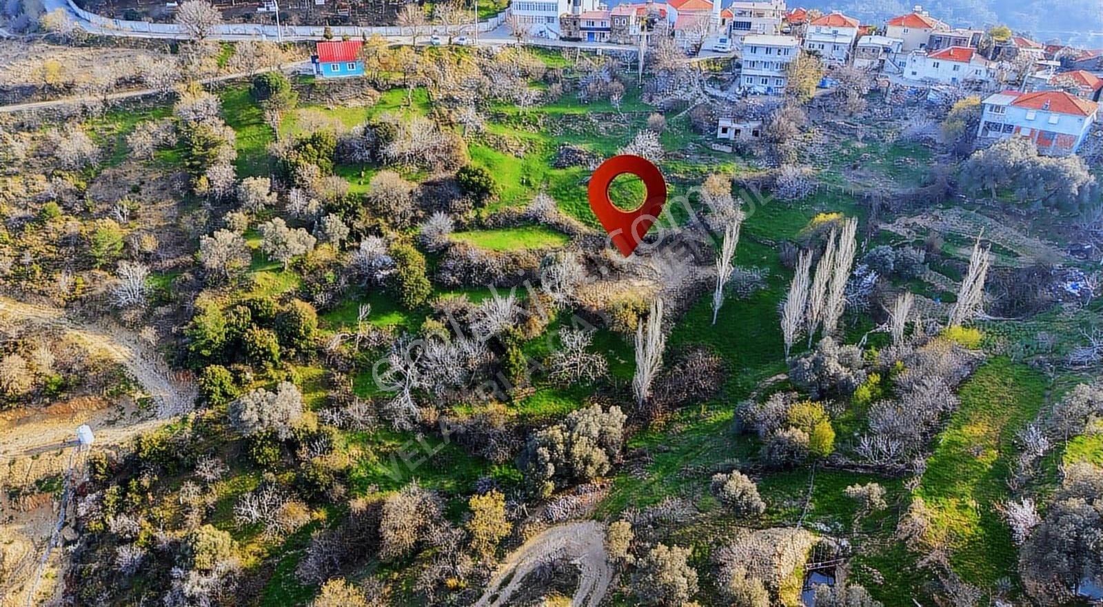Seferihisar Köy İçi İmarlı Satılık Arsa | 492 M² | Araç Takaslı - Görsel 11