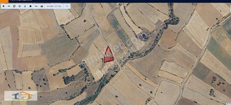 Taşlık Köyü'nde Satılık 2.286 M² Tek Tapu Tarla - Görsel 4