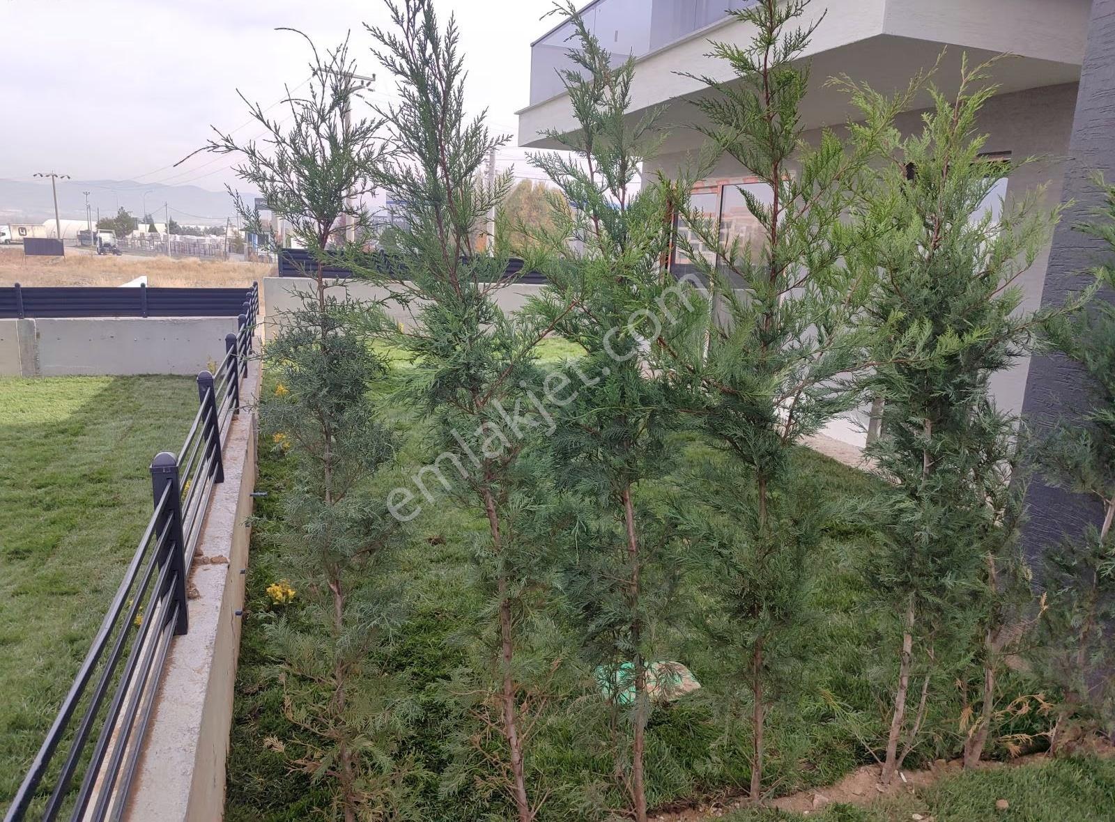 Asel'den 900 M2 Sıfır Villa(ikiz)tek Bahçe(işyeriofis,kurum Olur - Görsel 5