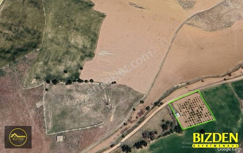 Meram Boyalı'da (müstakil) Su, Konteynır Ev Ve Jeneratörlü Bahçe - Görsel 7