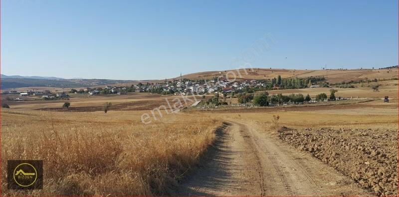 Derbent Saraypınar'da Köye Yakın Yüksek Metrekare Tarım Arazisi - Görsel 15