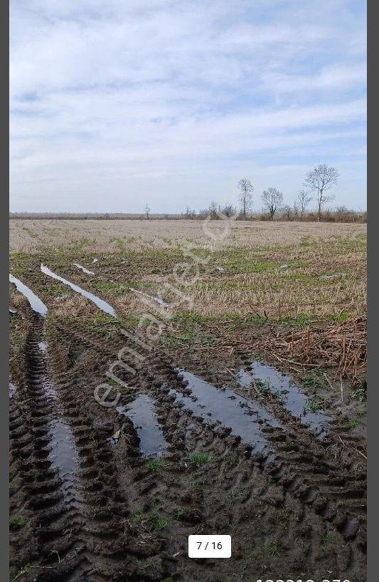 Acil Satılık 58.780 M2 Ciftlik Yüzde 40 Depo Yapılabilir - Görsel 7