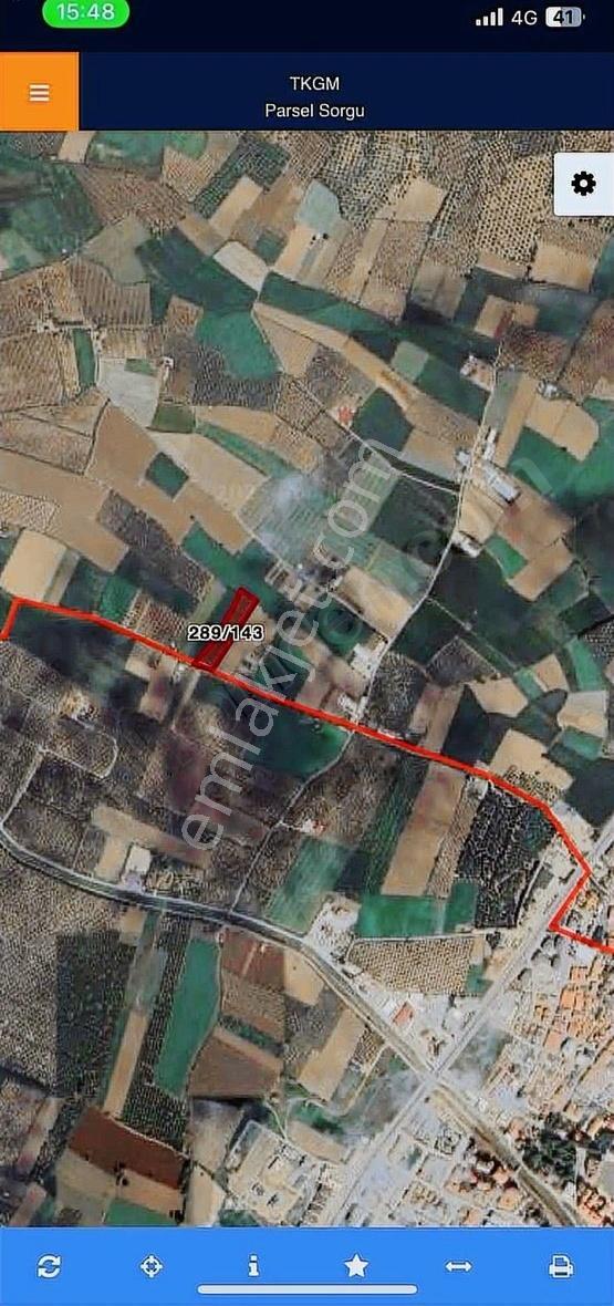 Neşe Emlak Tan Gömeç Kemalpaşa Mahallesin De Satılık Tarla - Görsel 2