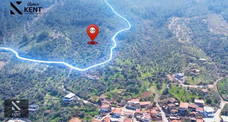 Kemalpaşa Ören Satılık 10.250 M2 Müstakil Parsel Zeytinlik - Görsel 15