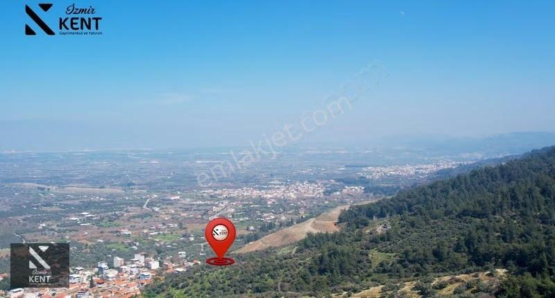 Kemalpaşa Ören Satılık 10.250 M2 Müstakil Parsel Zeytinlik - Görsel 33