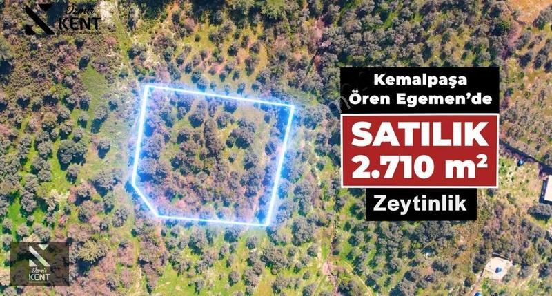 Kemalpaşa Ören Satılık 10.250 M2 Müstakil Parsel Zeytinlik - Görsel 29