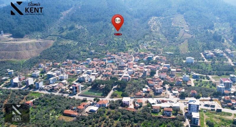 Kemalpaşa Ören Satılık 10.250 M2 Müstakil Parsel Zeytinlik