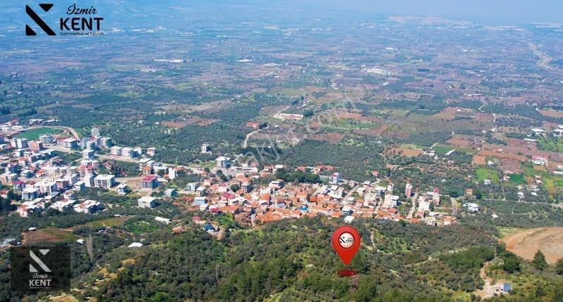 Kemalpaşa Ören Satılık 10.250 M2 Müstakil Parsel Zeytinlik - Görsel 6