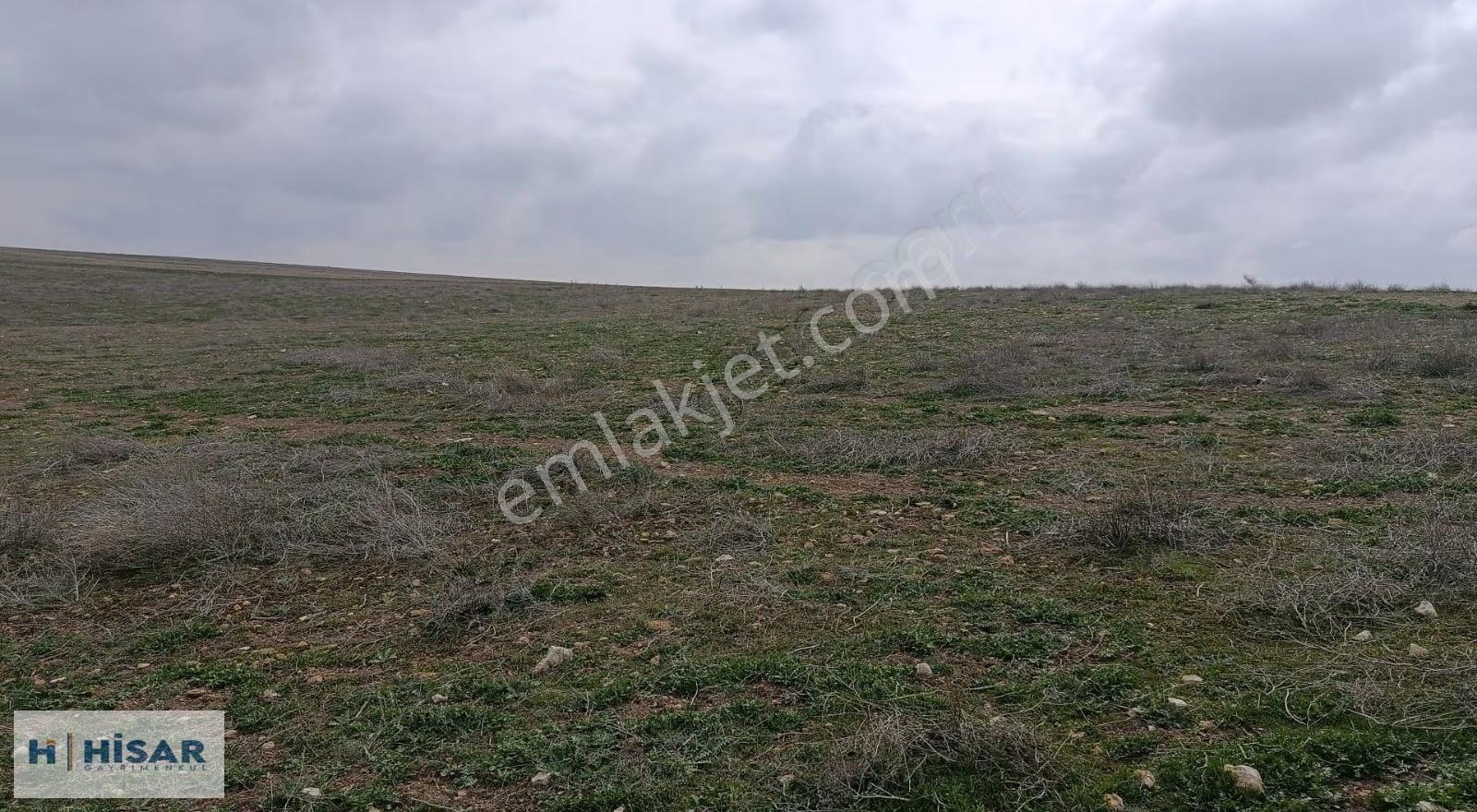 Hisar'dan Geleceğe Yatırımlık 51,000 M2 Tarla - Görsel 2
