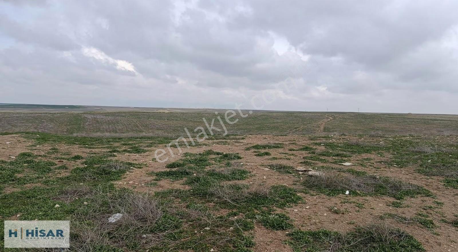 Hisar'dan Geleceğe Yatırımlık 51,000 M2 Tarla
