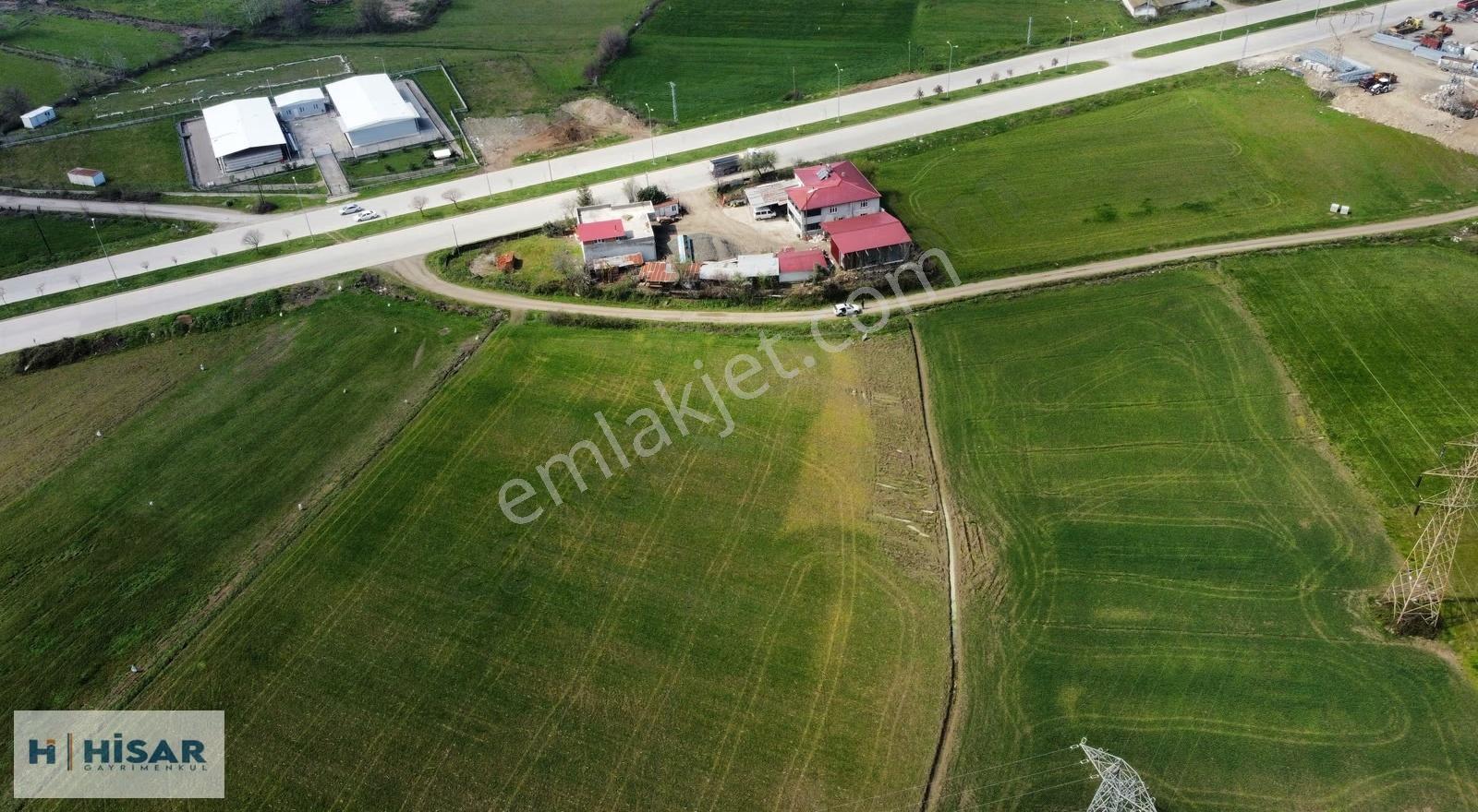 Hisar'dan Büyüklü Bulvaruna 50m T2 Arsa