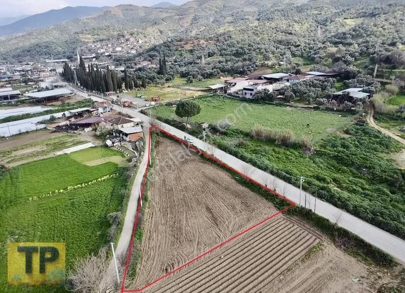 İzmir Tire Sarılar Köyünde Satılık Süper Bir Yer - Görsel 7