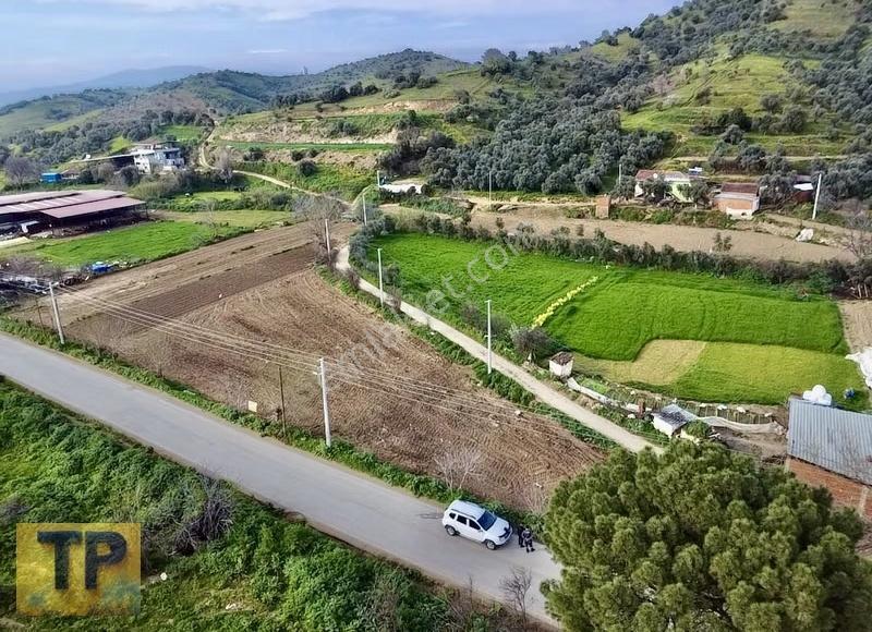 İzmir Tire Sarılar Köyünde Satılık Süper Bir Yer - Görsel 13
