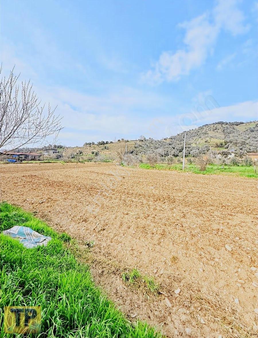 İzmir Tire Sarılar Köyünde Satılık Süper Bir Yer - Görsel 4