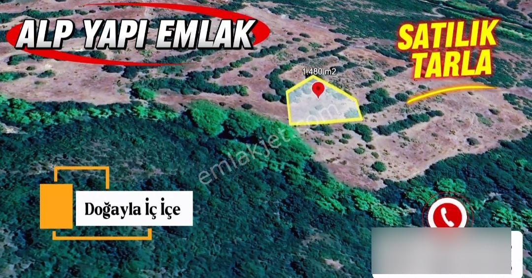 Gönen Dumanalan Mh 1.480m² Uygun Fiyatlı Satılık Tarla - Görsel 5