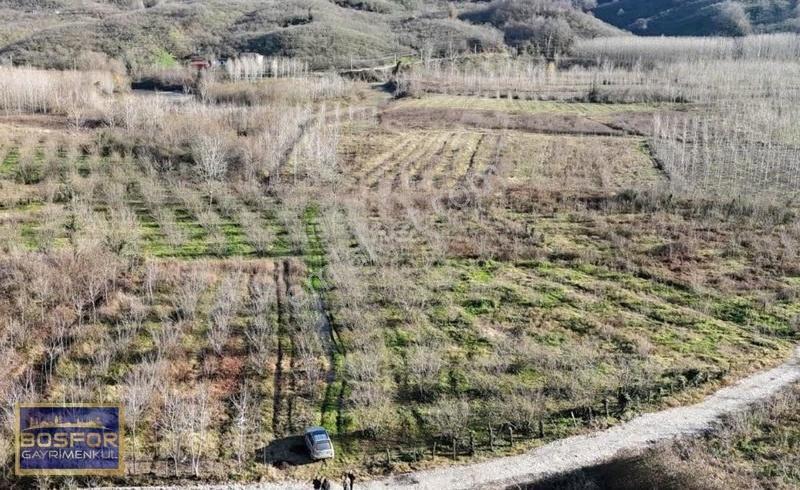 Sakarya Kocaali Satılık Fındıklık 2565 M2 - Görsel 9