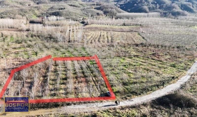 Sakarya Kocaali Satılık Fındıklık 2565 M2 - Görsel 13