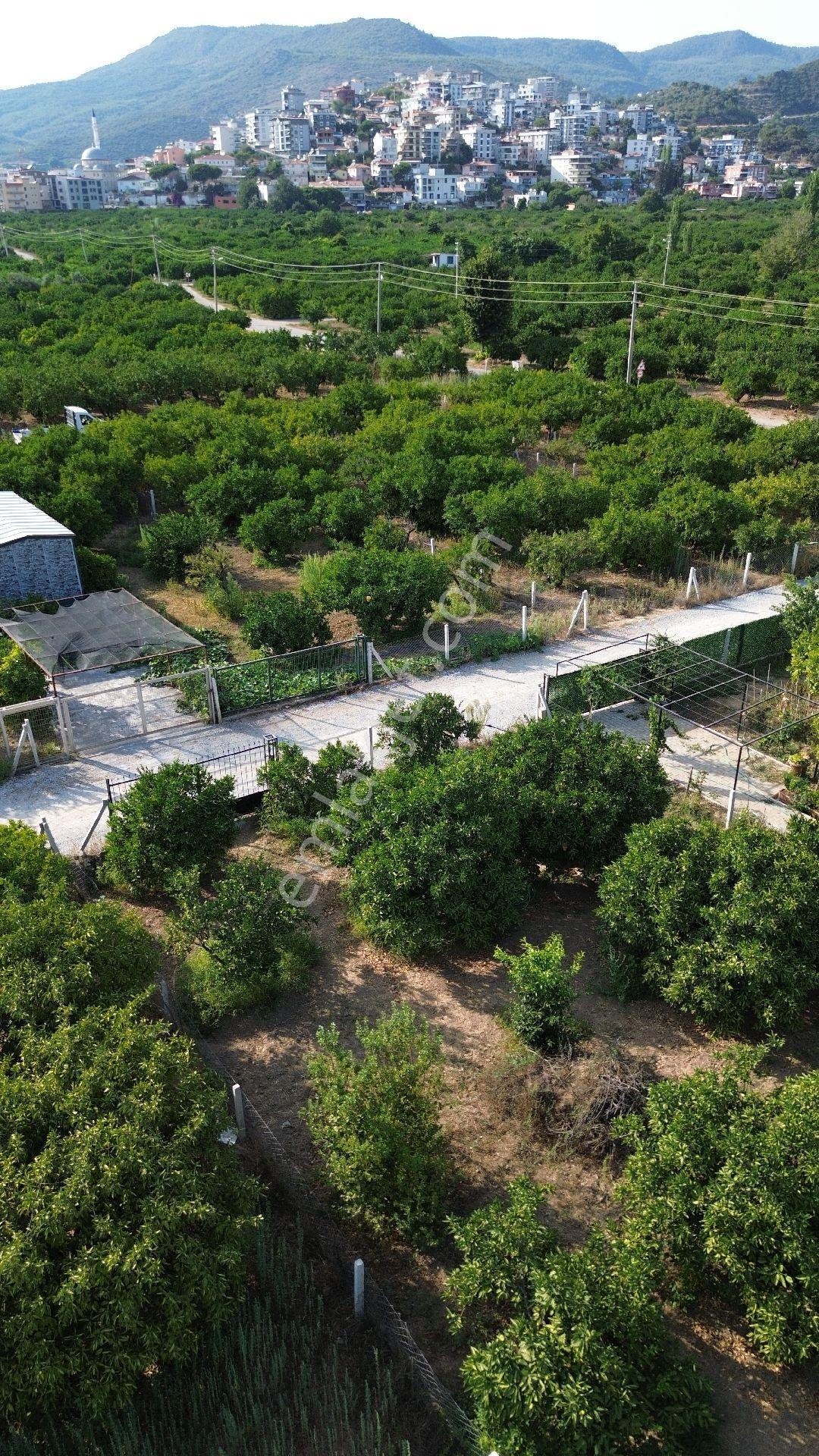 Fırsat💯 432mt² Asfalta Sıfır Gümüldürde Denize Yakın İmara 300 Metre - Görsel 5