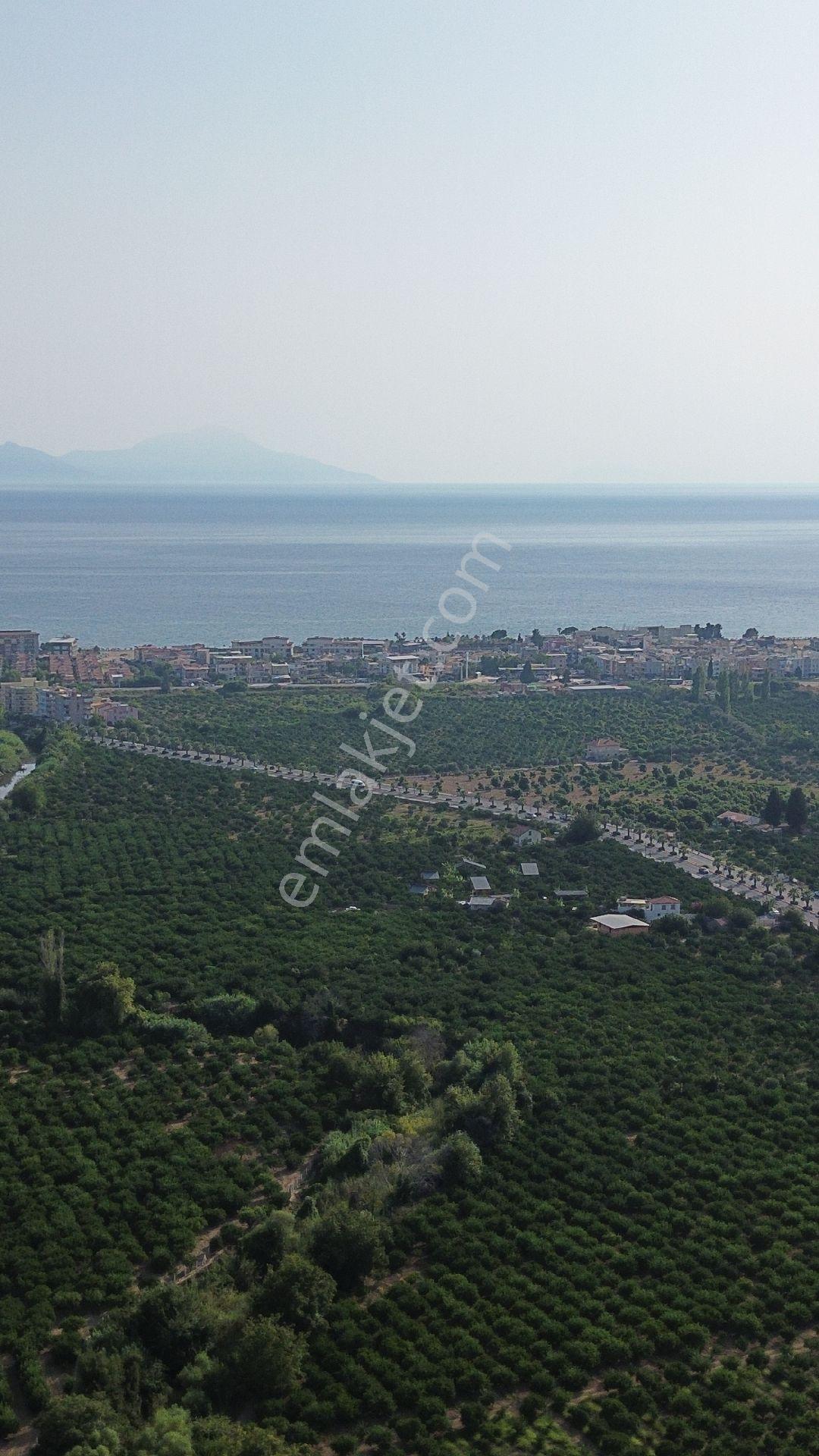 Fırsat💯 432mt² Asfalta Sıfır Gümüldürde Denize Yakın İmara 300 Metre