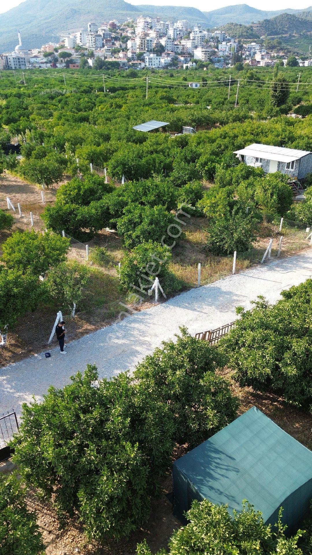 Fırsat💯 432mt² Asfalta Sıfır Gümüldürde Denize Yakın İmara 300 Metre - Görsel 13