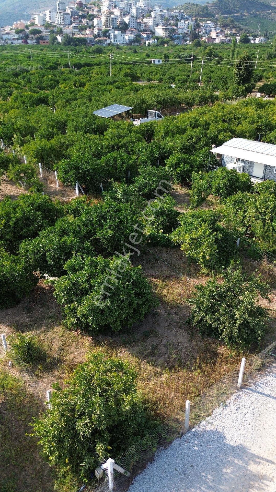 Fırsat💯 432mt² Asfalta Sıfır Gümüldürde Denize Yakın İmara 300 Metre - Görsel 11
