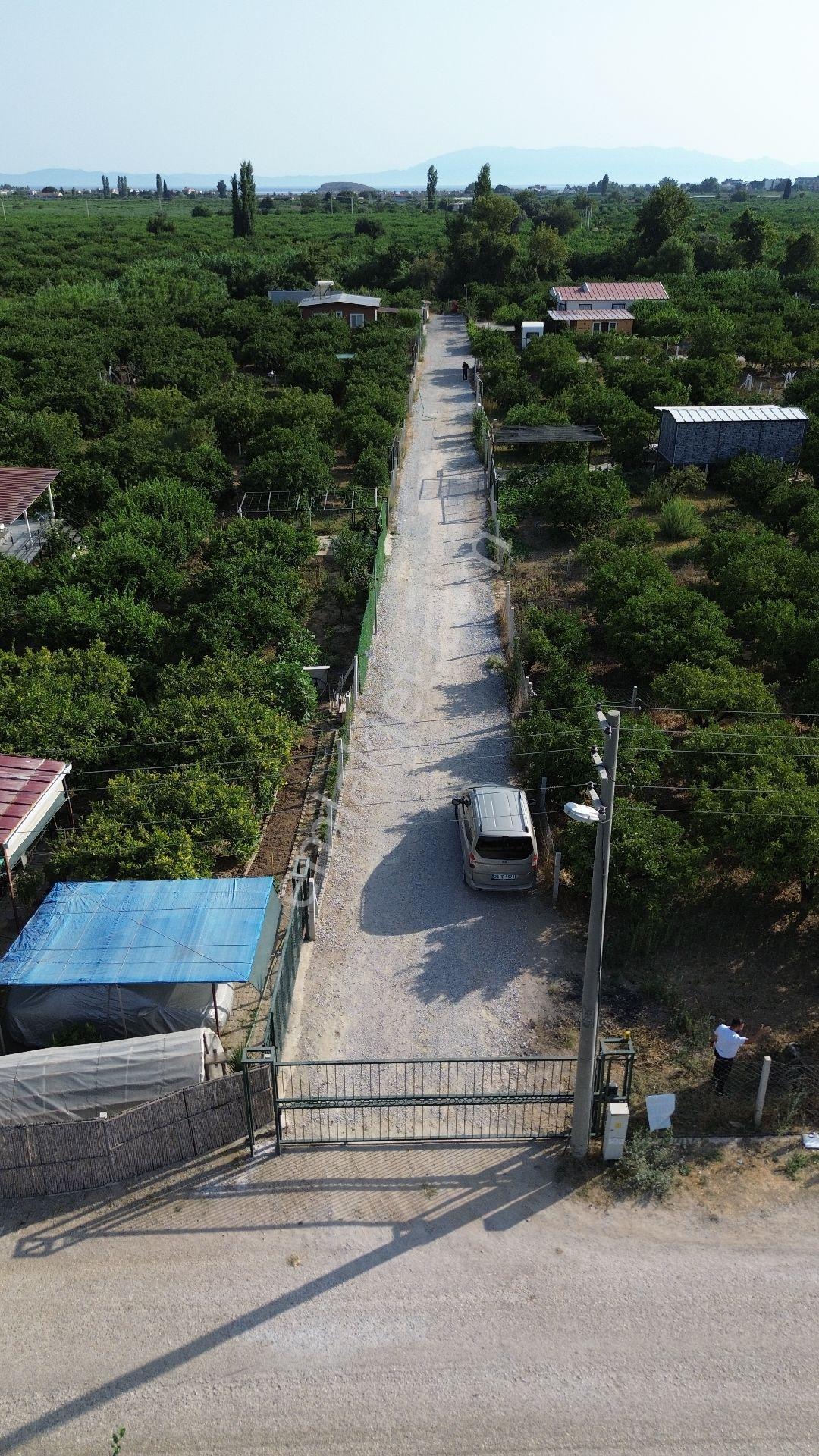 Fırsat💯 432mt² Asfalta Sıfır Gümüldürde Denize Yakın İmara 300 Metre - Görsel 4
