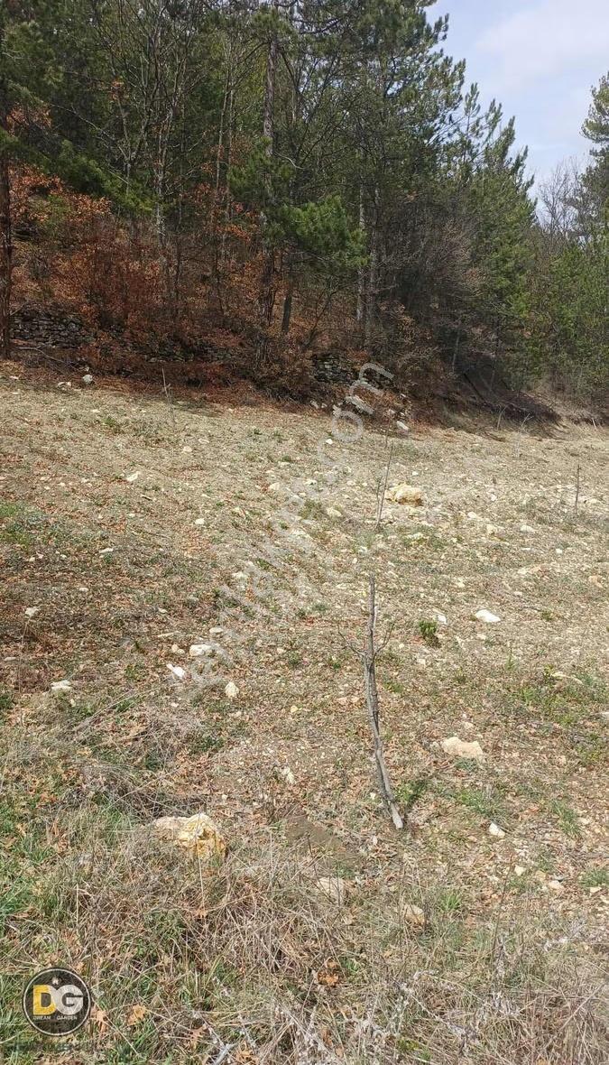 Bursa Keles Başak Köyü'nde Satılık Tarla - 1637 M² - Görsel 6