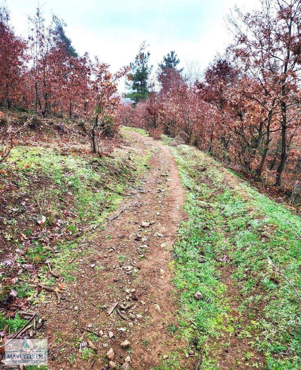 Çanakkale Çan Dondurma Köyü Satılık Arazi - Görsel 7