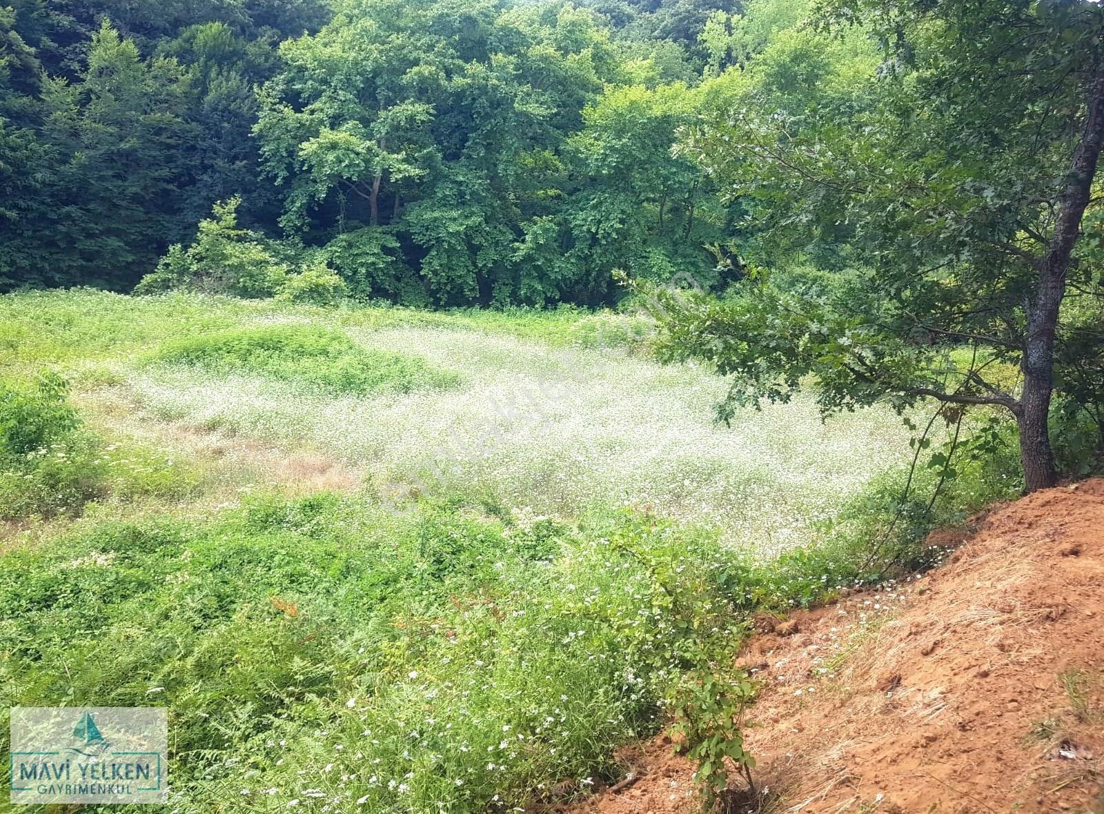 Çanakkale Çan Bozguç Köyü Satılık Arazi