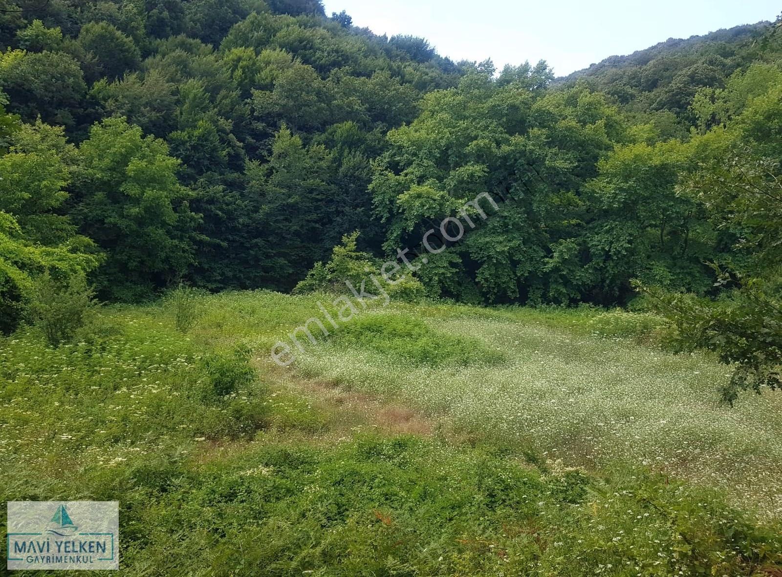 Çanakkale Çan Bozguç Köyü Satılık Arazi - Görsel 3