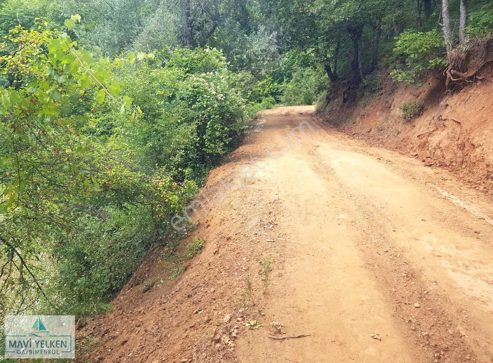 Çanakkale Çan Bozguç Köyü Satılık Arazi - Görsel 8
