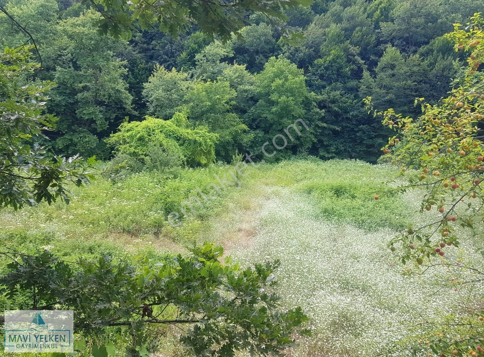 Çanakkale Çan Bozguç Köyü Satılık Arazi - Görsel 7