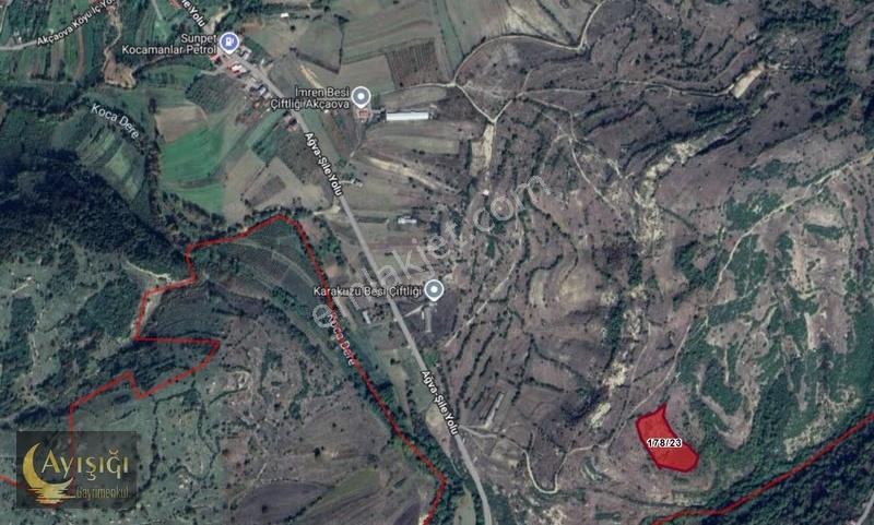 Kandıra Akçaova 9.682m² Tek Tapulu Resmi Yolu Olan Satılık Arsa - Görsel 4