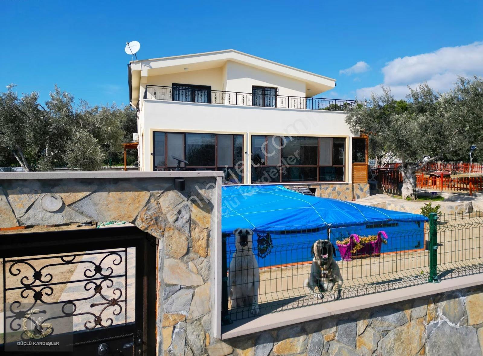 Güçlü Kardeşler 1350m2 Arsa İçerisinde Havuzlu 4+1 Çiftlik Evi - Görsel 13
