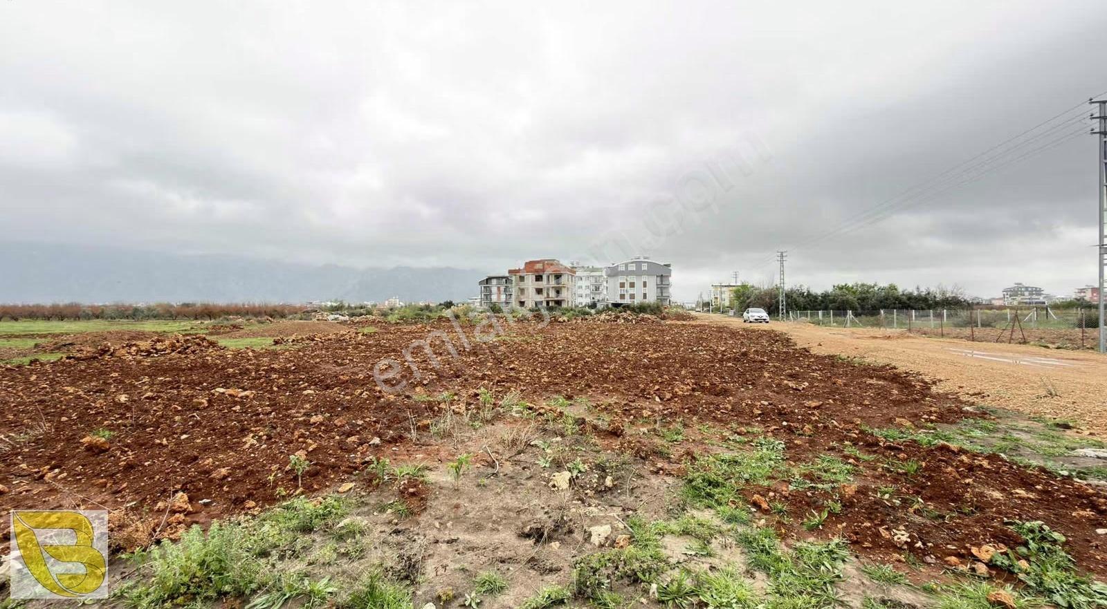 Kırkgöz Yeniköy'de Villa Bölgesinde 1126 M2 Satılık Konut Arsası - Görsel 8