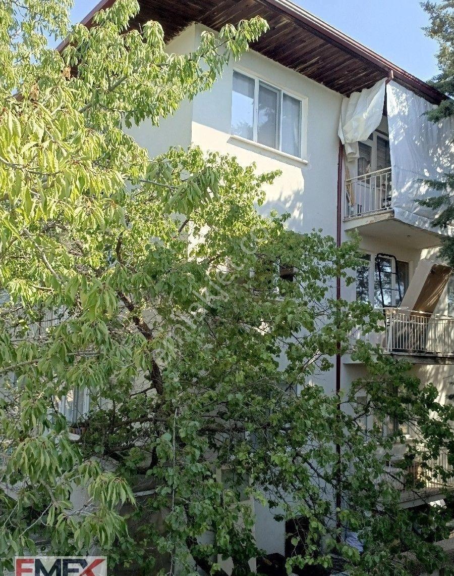Fiyat Düştü - Yeşilova Satılık 3 Katlı Müstakil Ev - Görsel 4