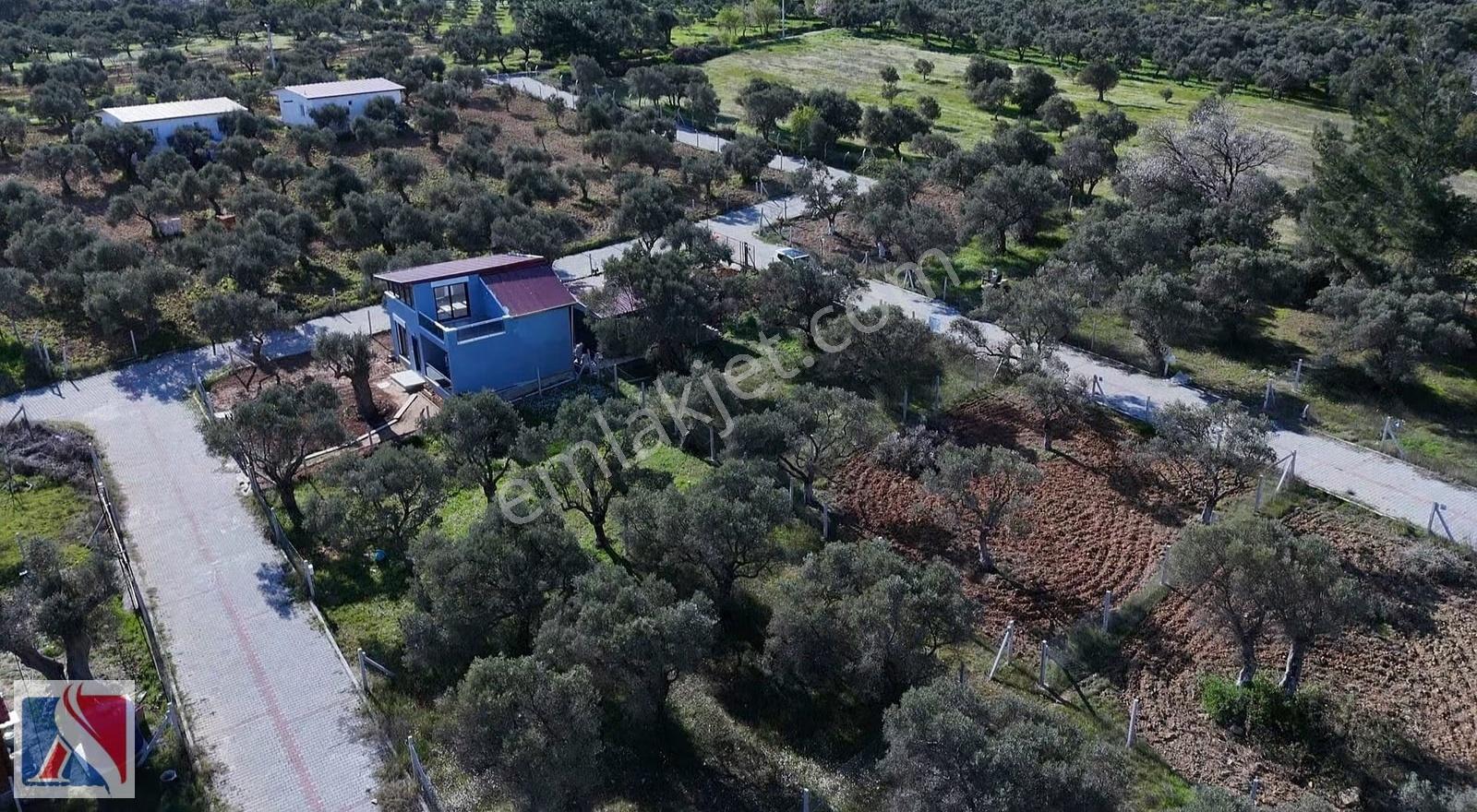Torbalı Çakırbeylide 319 M2 Yerleşim Alanı İçinde Tapulu Parsel - Görsel 5
