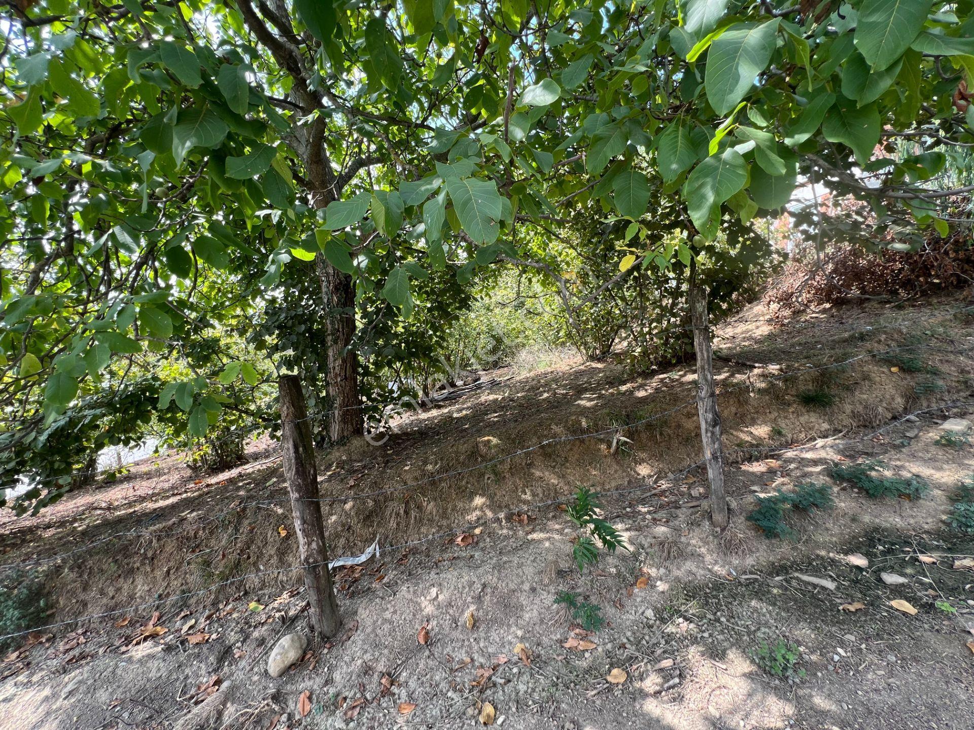 Konuralp'te 479 M2 Satılık Köşe Parsel - Görsel 15
