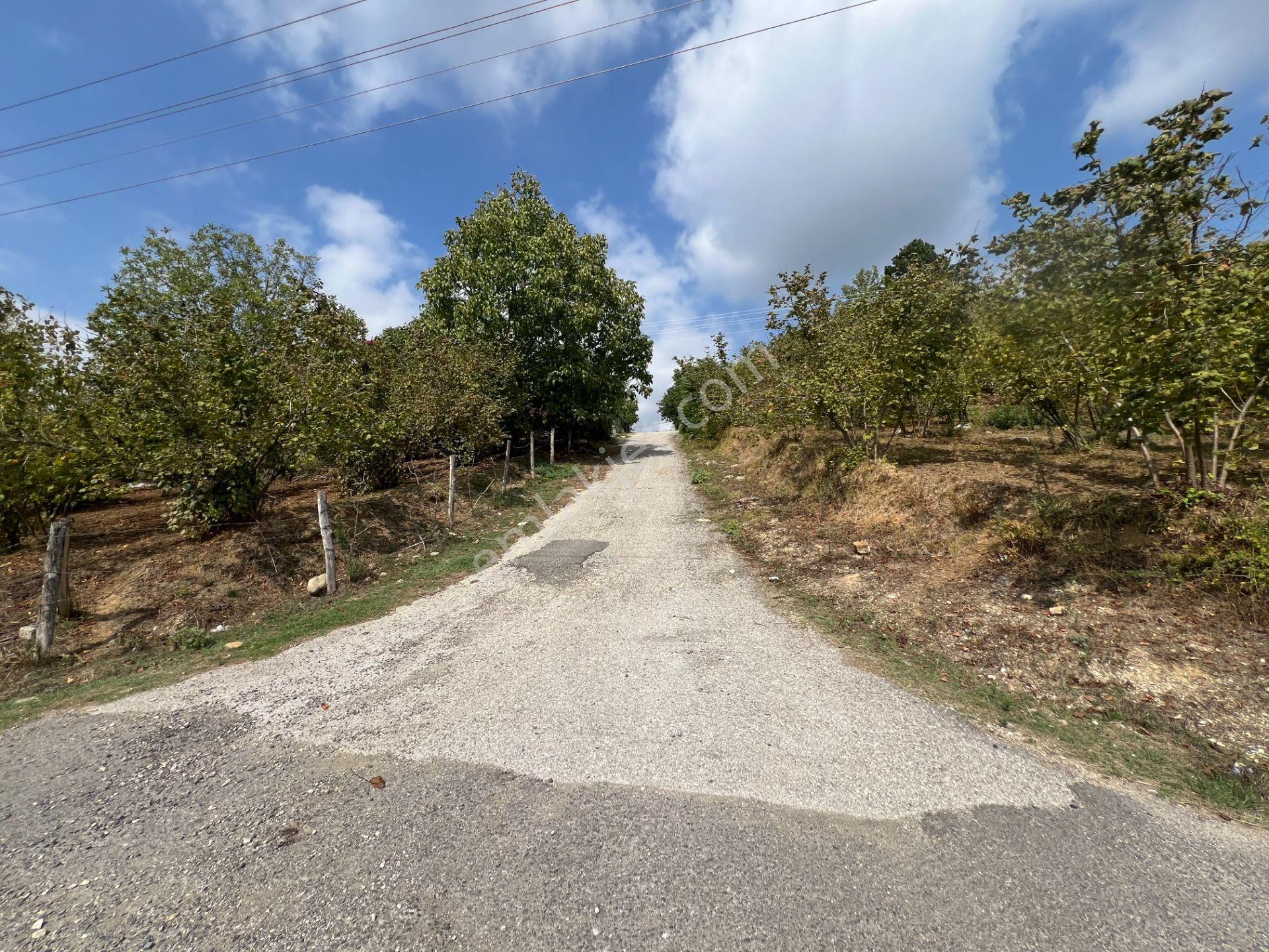 Konuralp'te 479 M2 Satılık Köşe Parsel - Görsel 35