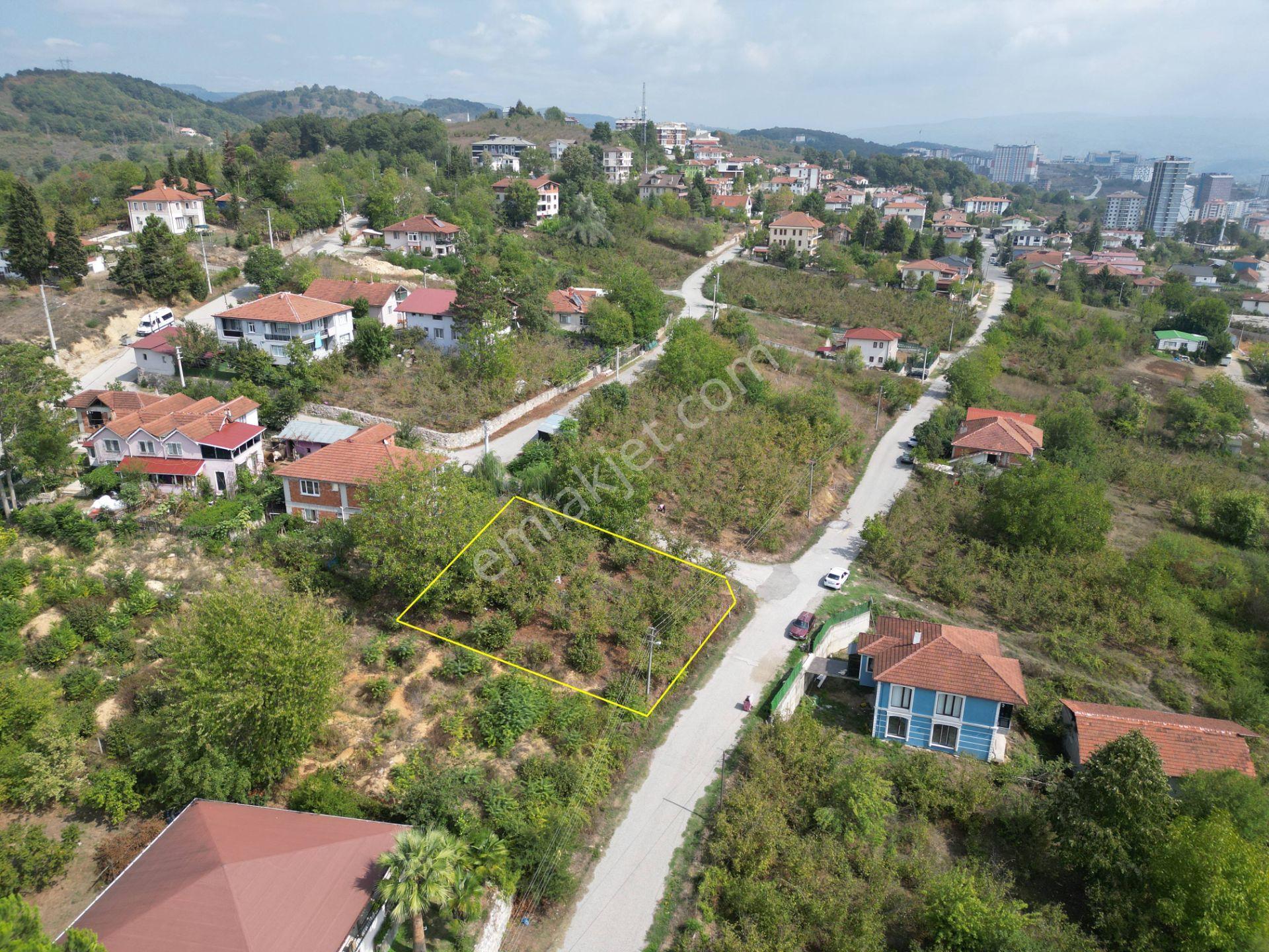 Konuralp'te 479 M2 Satılık Köşe Parsel - Görsel 7