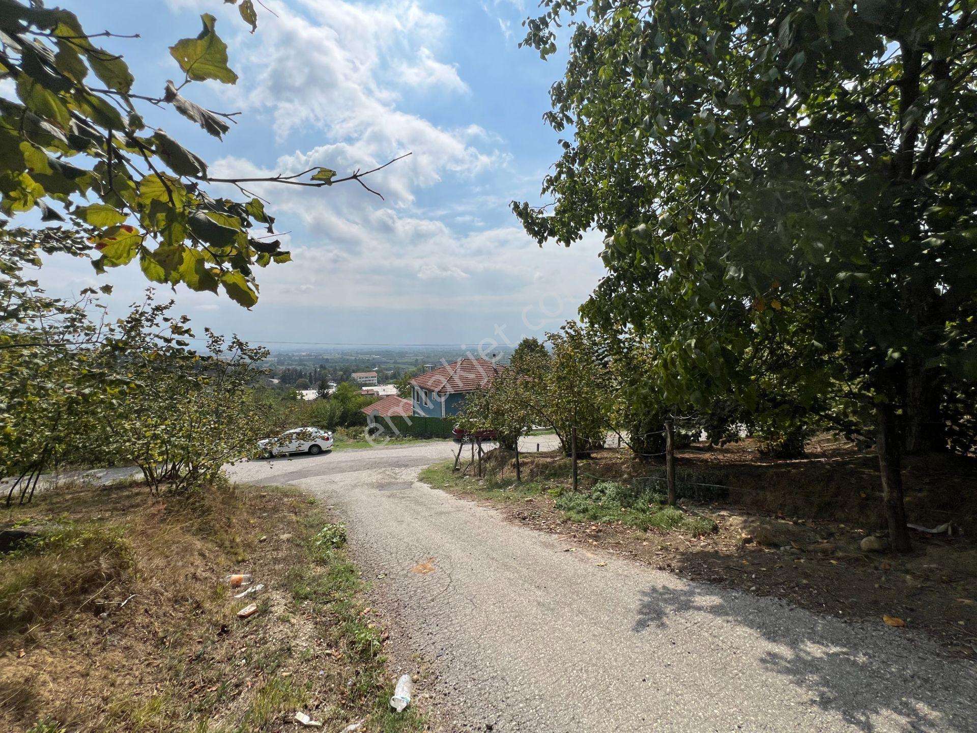 Konuralp'te 479 M2 Satılık Köşe Parsel - Görsel 16