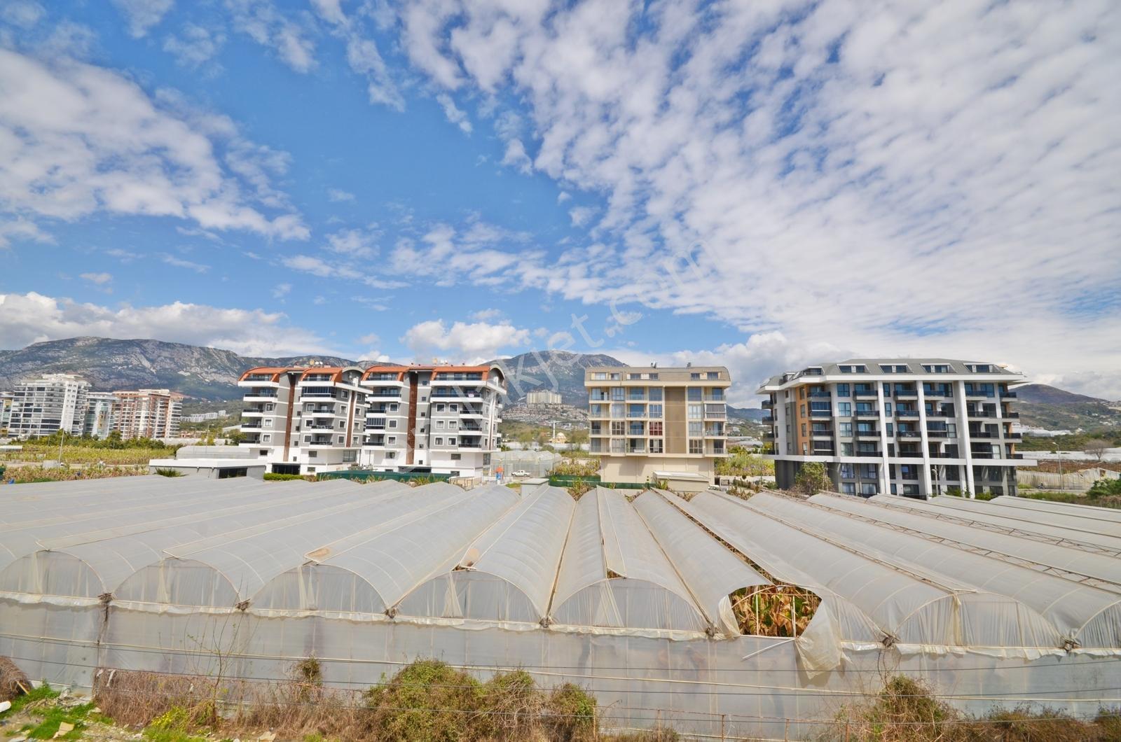 Alanya Kargıcak'da Satılık 1+1 Yeni Bina Manzaralı Dairelerimiz - Görsel 13
