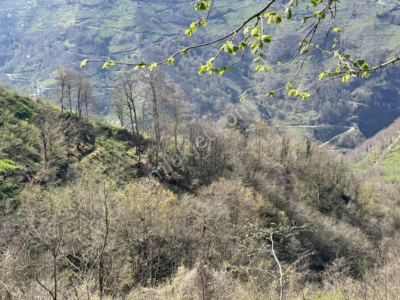 Özgür Emlaktan Fırsat Yatırımlık Arazi