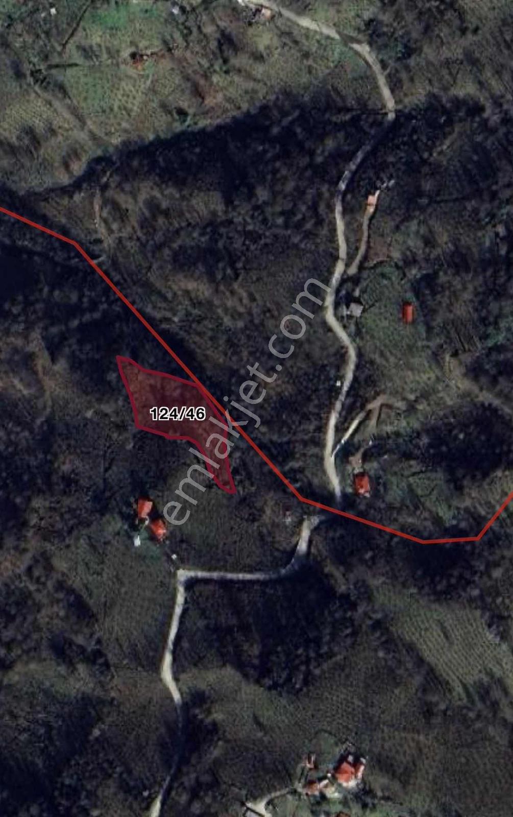 Özgür Emlaktan Fırsat Yatırımlık Arazi - Görsel 3