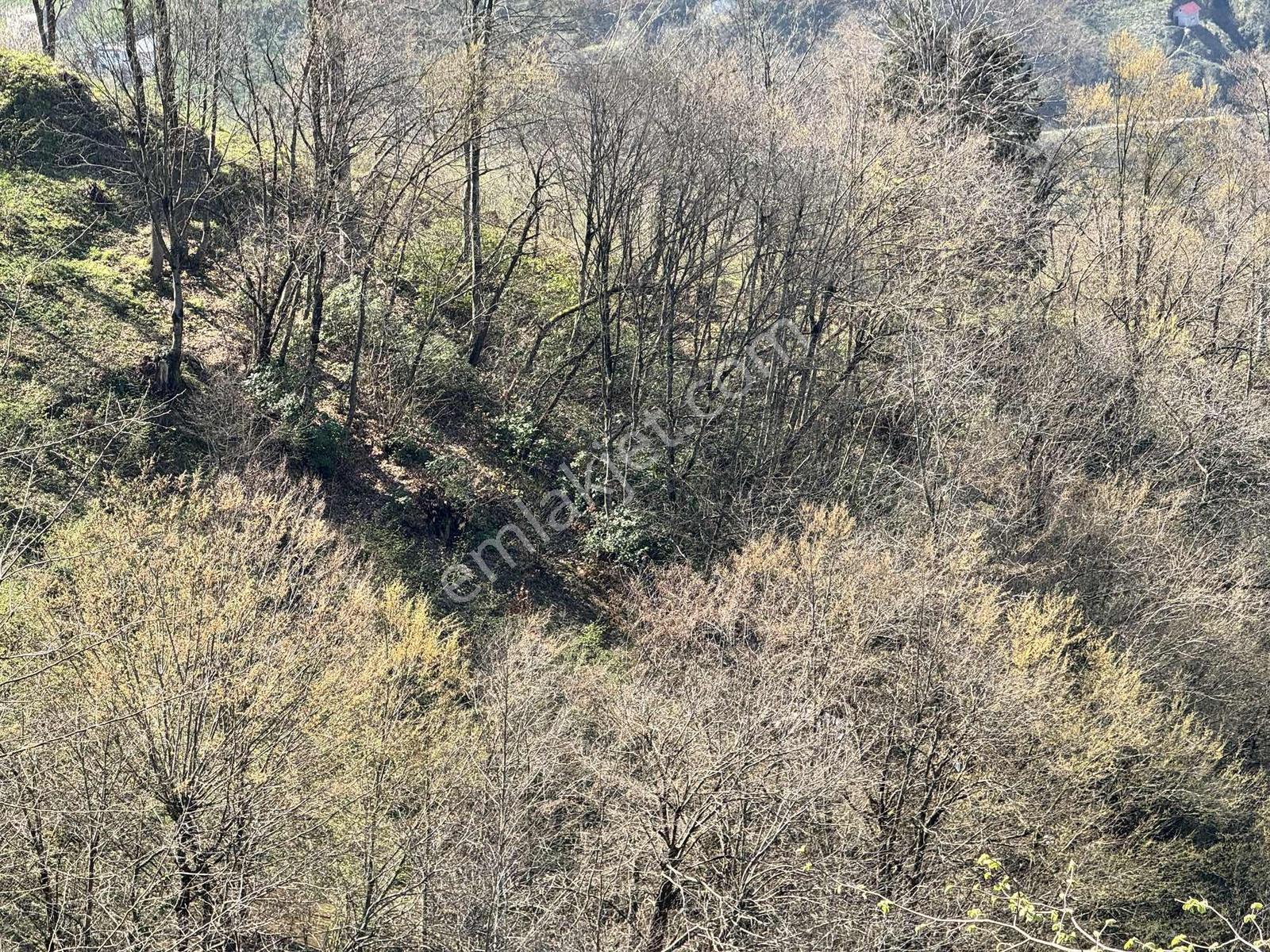 Özgür Emlaktan Fırsat Yatırımlık Arazi - Görsel 7