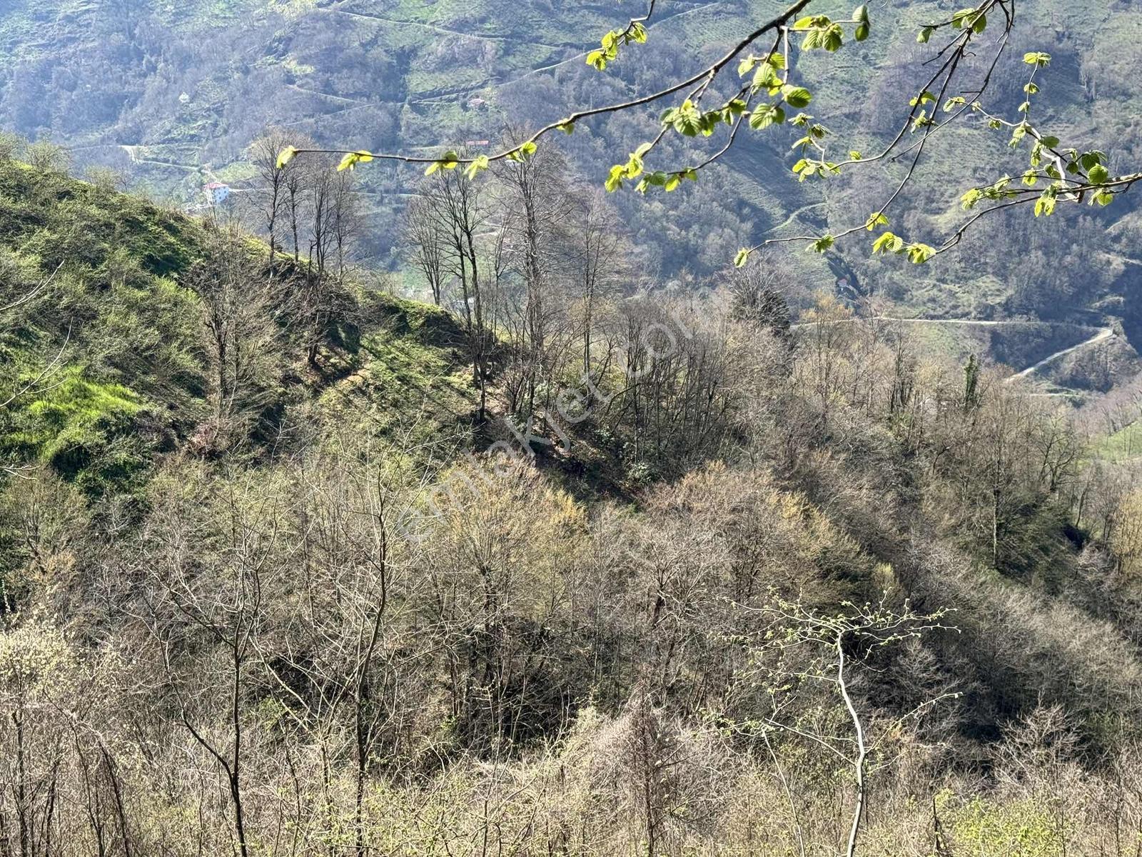 Özgür Emlaktan Fırsat Yatırımlık Arazi - Görsel 2