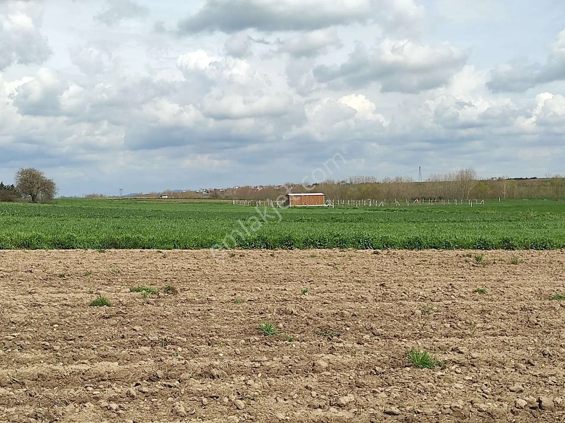 Remax Land'den Tekirdağ Saray Çayla'da Yatırımlk 3.205 M² Tarla - Görsel 5