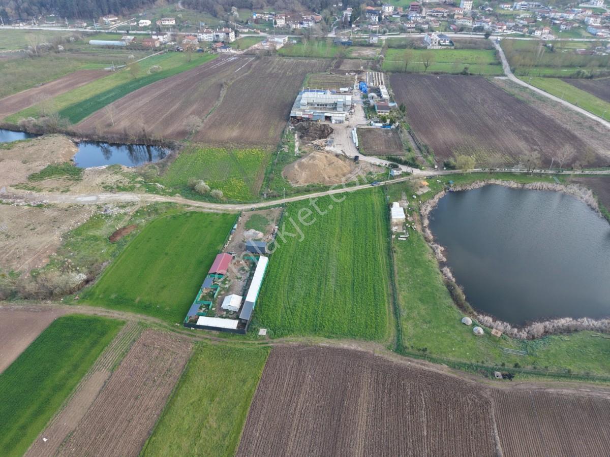 Söğütlü Akarcada Kadastral Yola Cepheli Satılık Tarla - Görsel 12