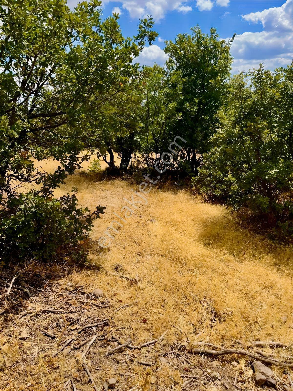 Havran Küçükşapçıda Müstakil Tapulu Yol Cepheli 10.592m2 Arazi - Görsel 15
